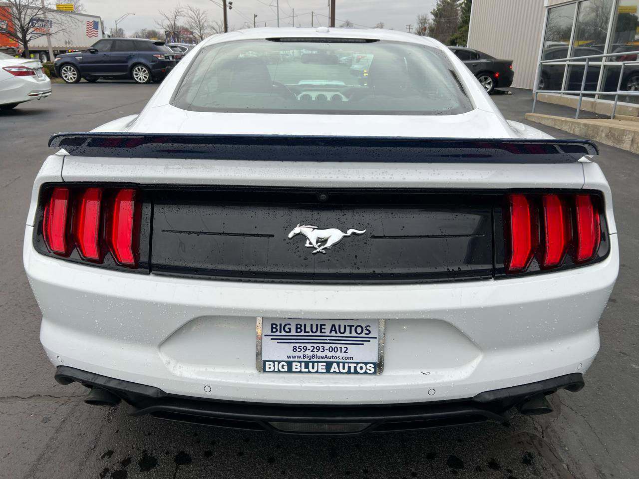 Used 2019 Ford Mustang Premium image 4