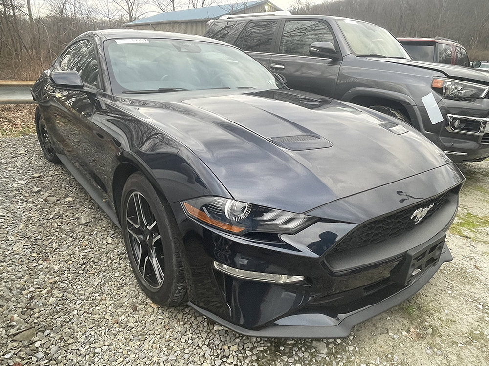 Used 2021 Ford Mustang Premium w/ Equipment Group 201A image 4