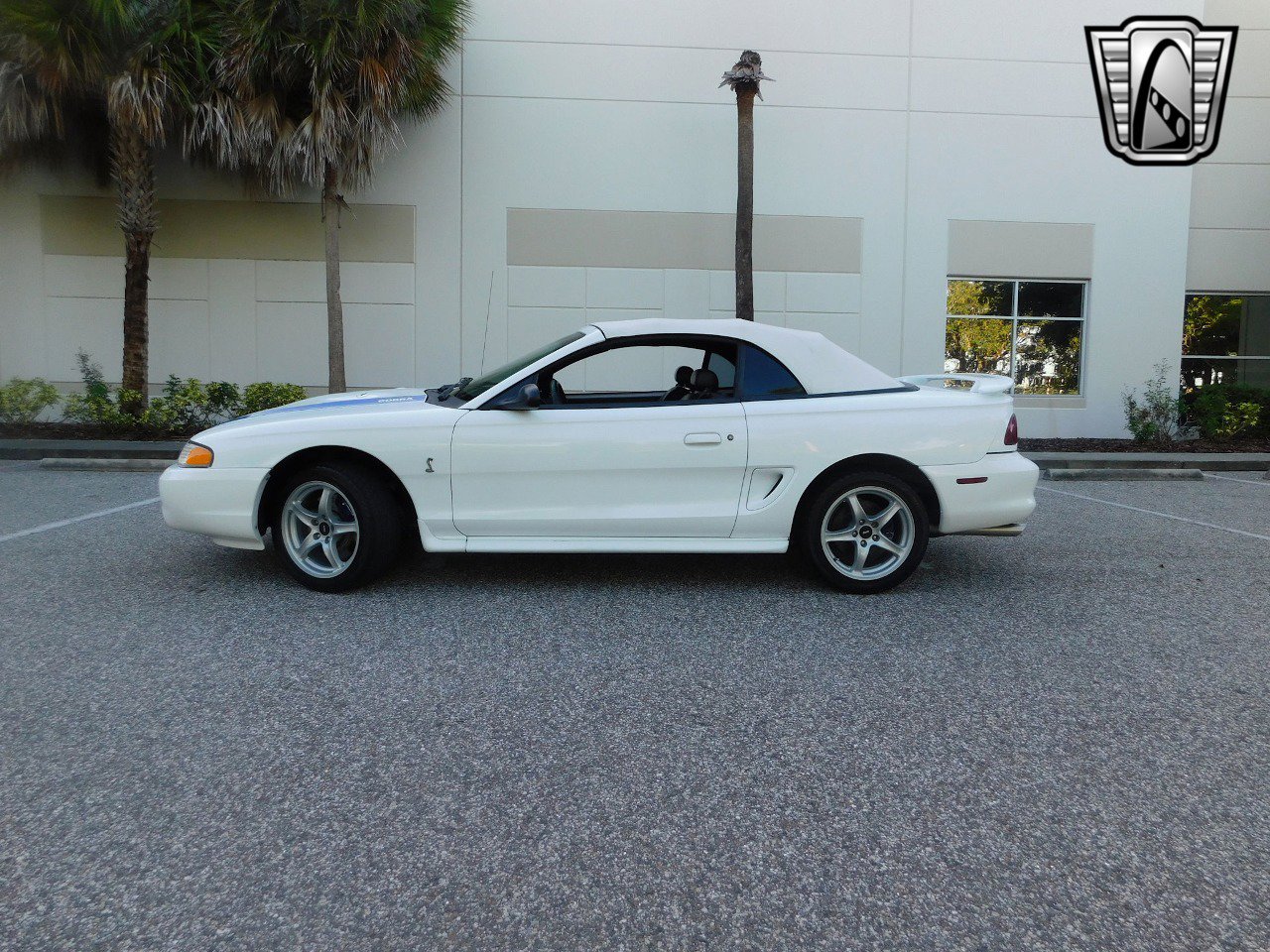 Used 1997 Ford Mustang Cobra image 5