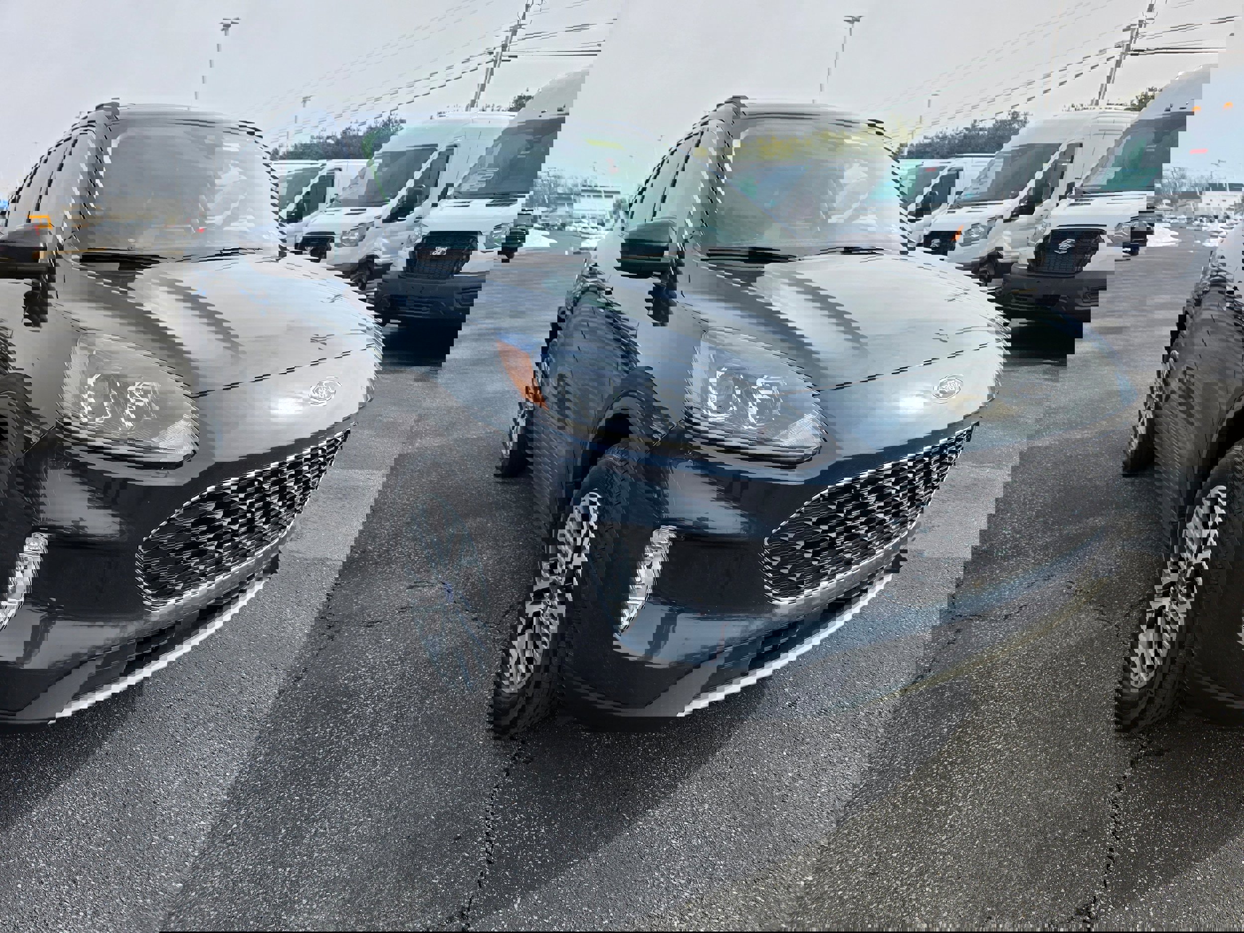 Certified 2022 Ford Escape SEL image 5