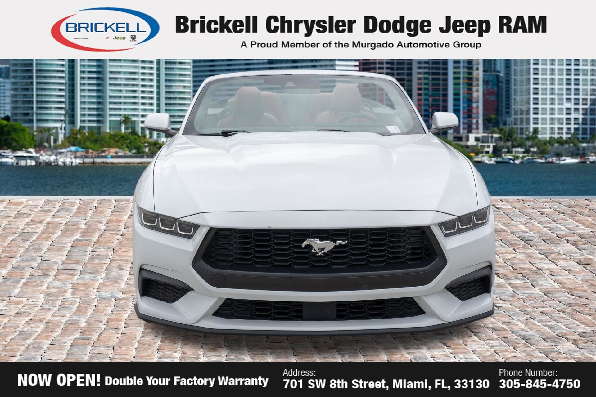 Used 2024 Ford Mustang Premium RWD image 3