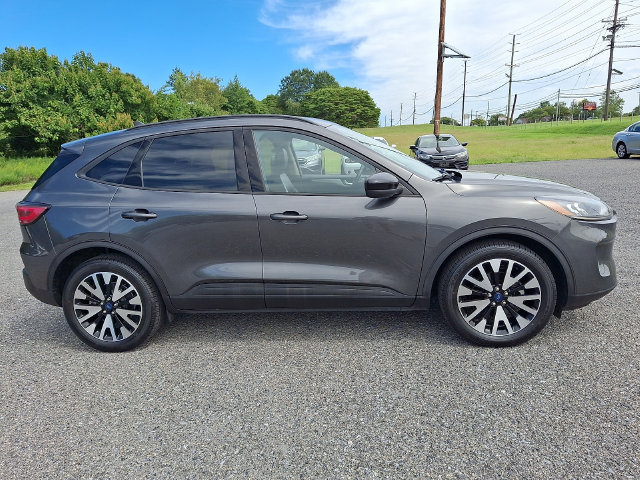 Used 2020 Ford Escape SE Sport AWD/4WD image 7