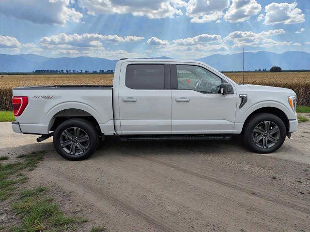 Certified 2023 Ford F150 XLT w/ Equipment Group 302A High image 7