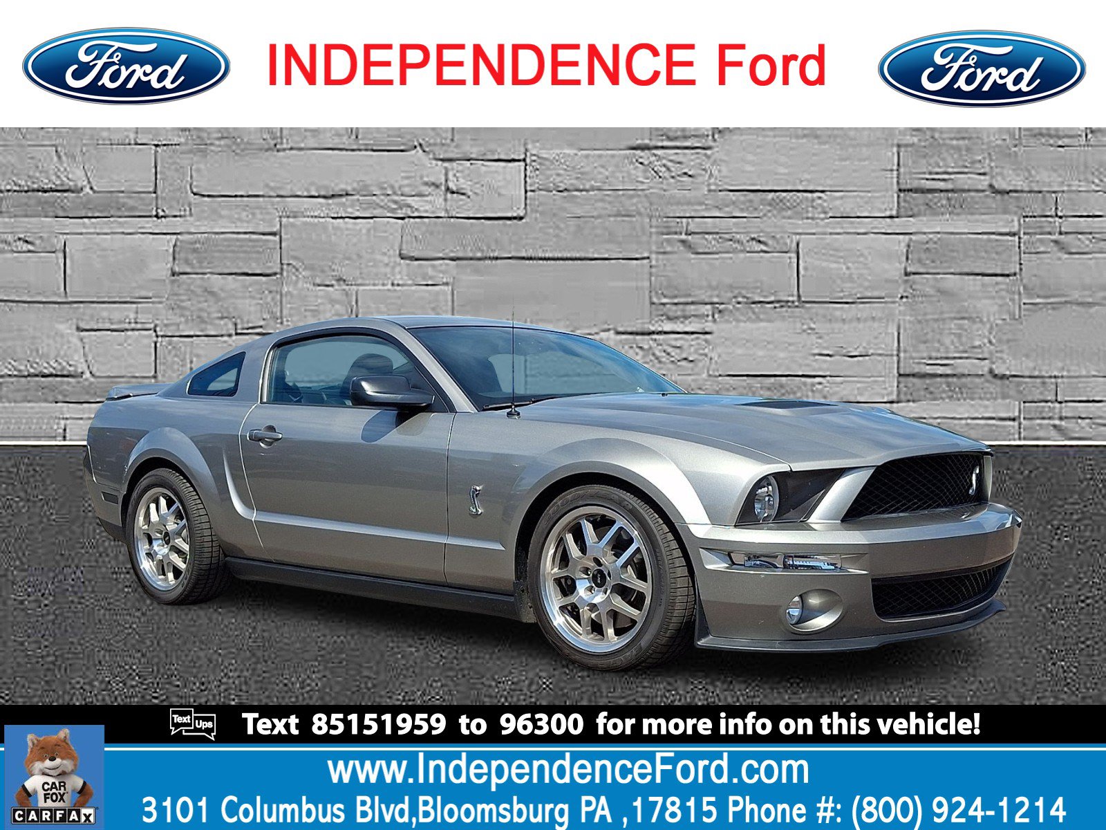 Used 2008 Ford Mustang Shelby GT500