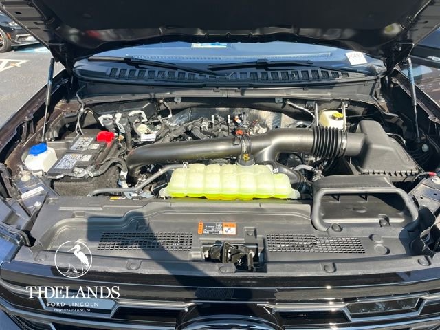 New 2025 Ford Expedition Platinum w/ Stealth Appearance Package image 25