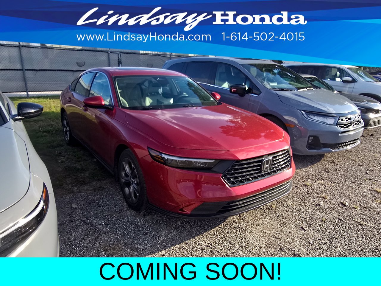 Used 2024 Honda Accord EX image 3