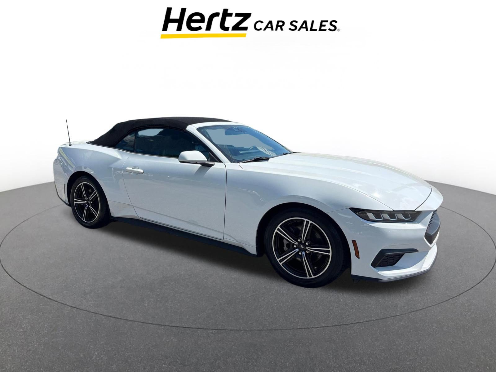 Used 2024 Ford Mustang Premium image 1