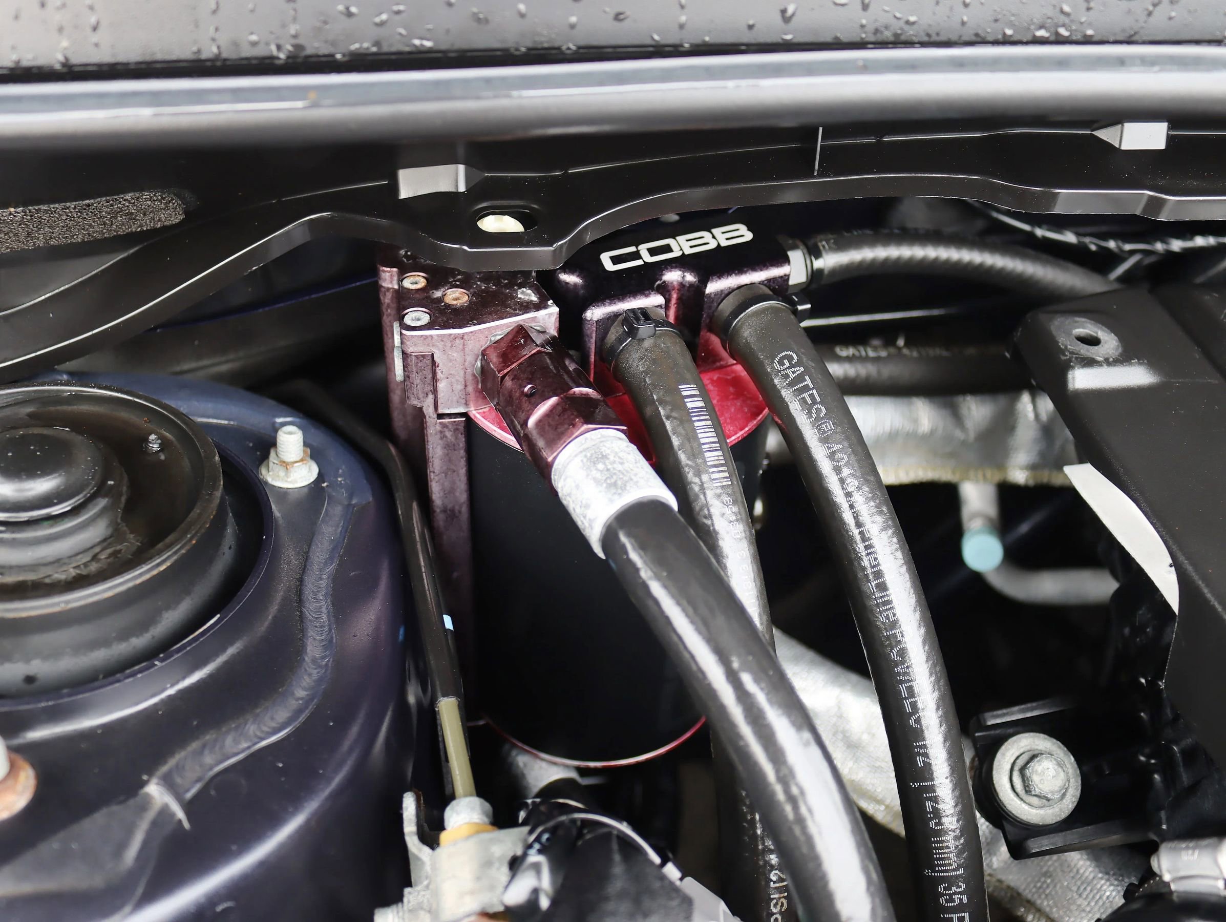 Used 2020 Subaru WRX Premium image 37