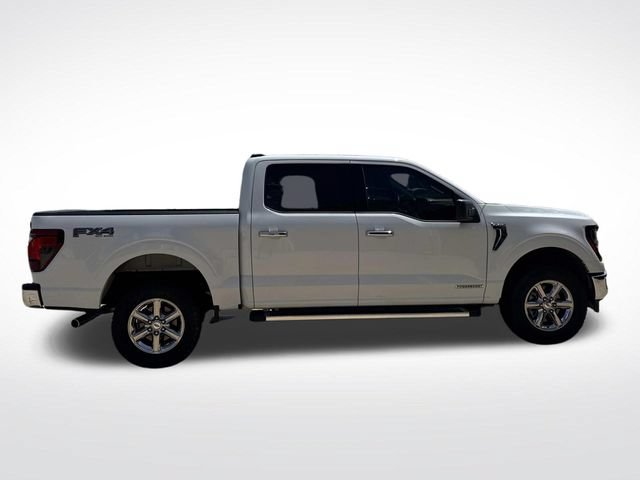 Used 2025 Ford F150 XLT w/ Equipment Group 301A Standard AWD/4WD image 12