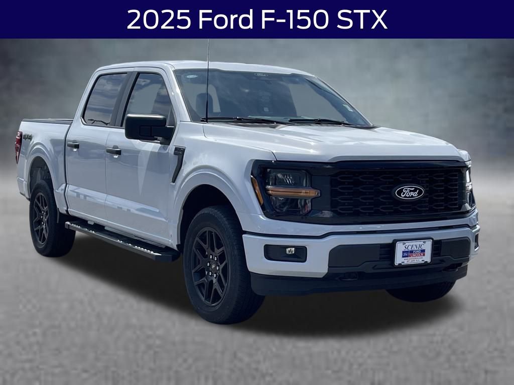 New 2025 Ford F150 STX w/ STX Black Appearance Package