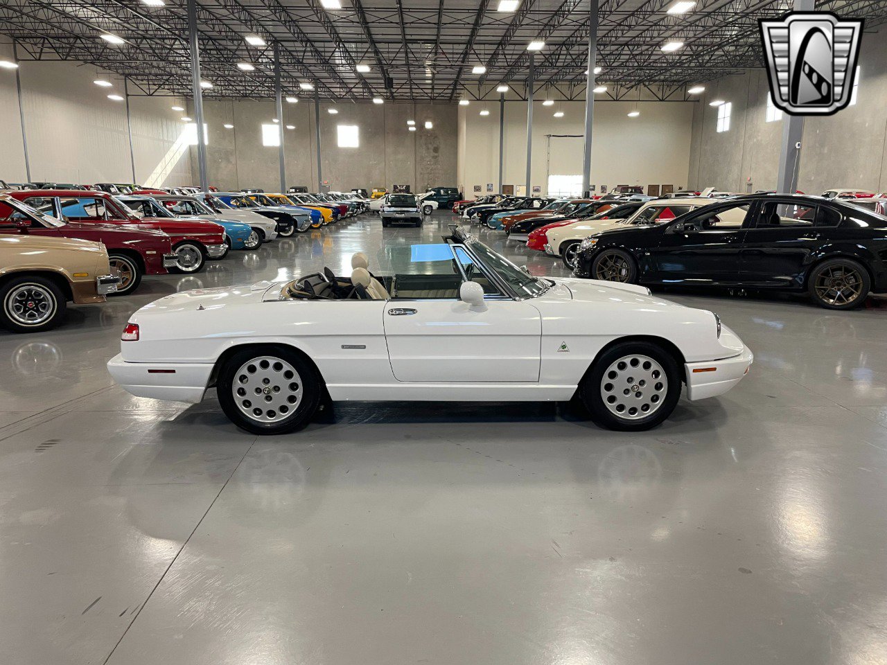 Used 1991 Alfa Romeo Spider Veloce image 5