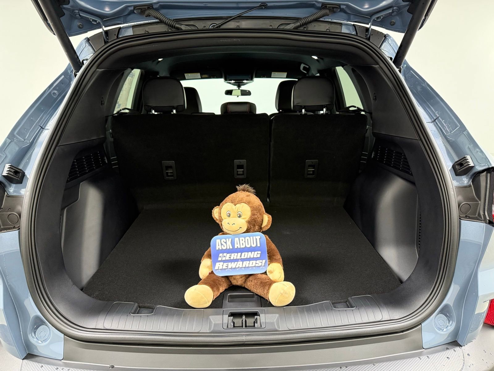 New 2026 Ford Escape ST-Line w/ Tech Pack #1 image 5