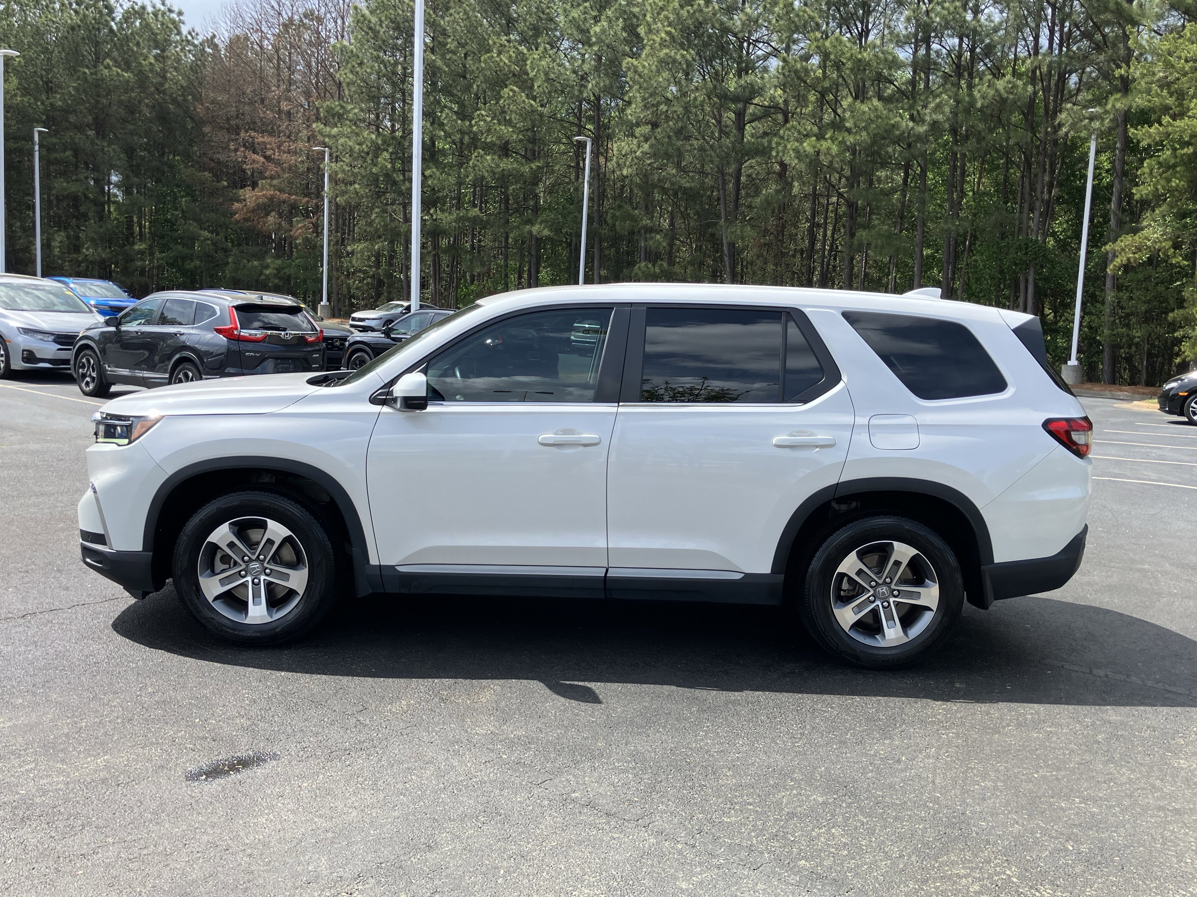 Certified 2025 Honda Pilot EX-L image 7