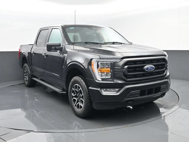 Used 2023 Ford F150 XLT w/ Equipment Group 302A High AWD/4WD image 3