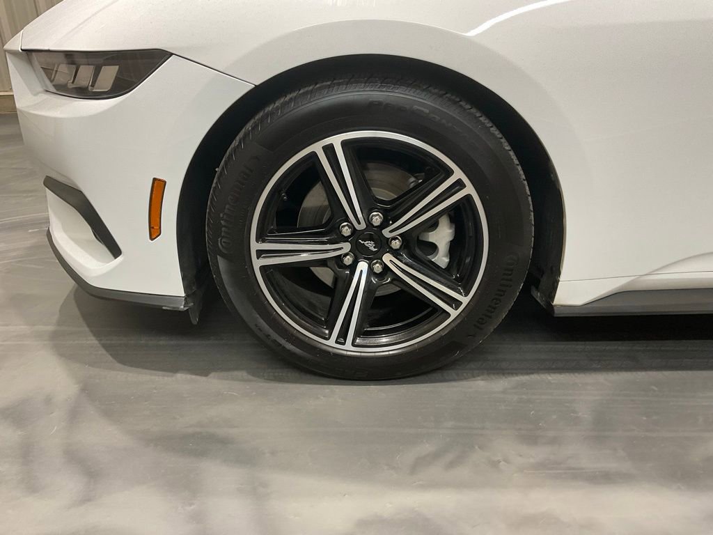 Used 2024 Ford Mustang Coupe image 6