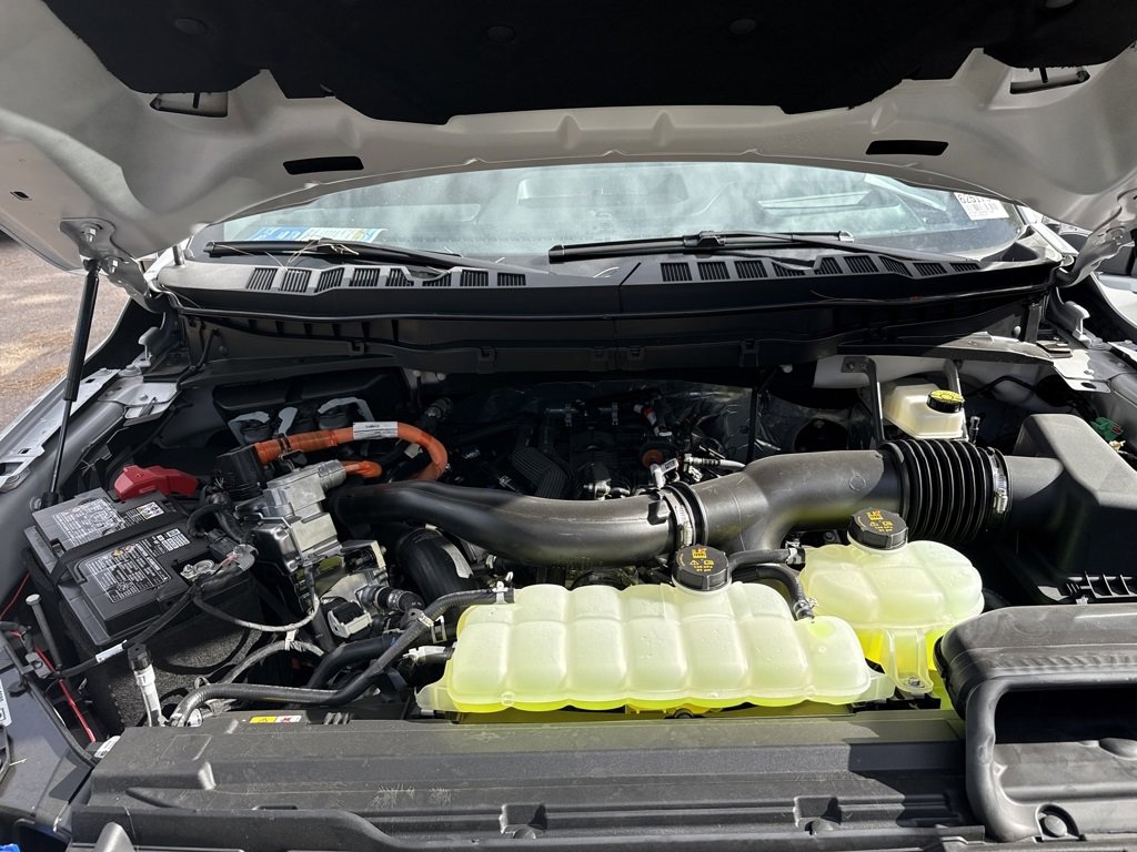 New 2025 Ford F150 Platinum w/ Equipment Group 702A High image 34