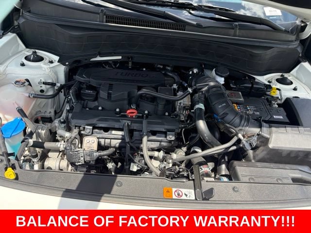Used 2024 Kia Seltos X-Line AWD/4WD image 12