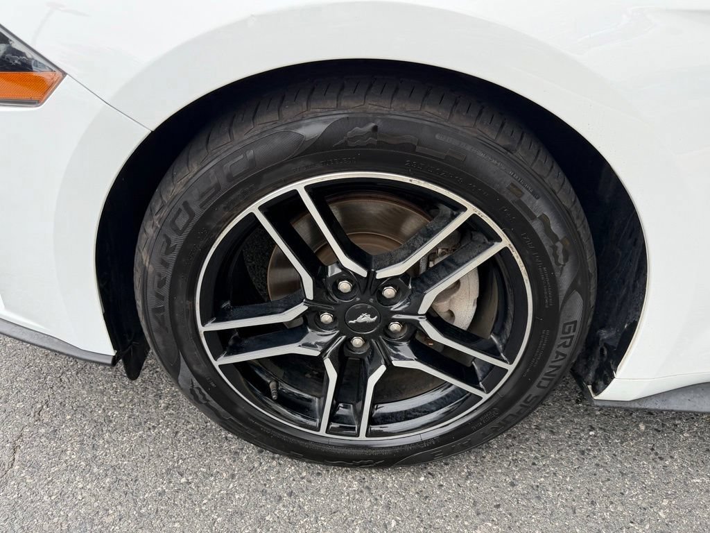 Used 2019 Ford Mustang Coupe w/ Equipment Group 101A RWD image 13