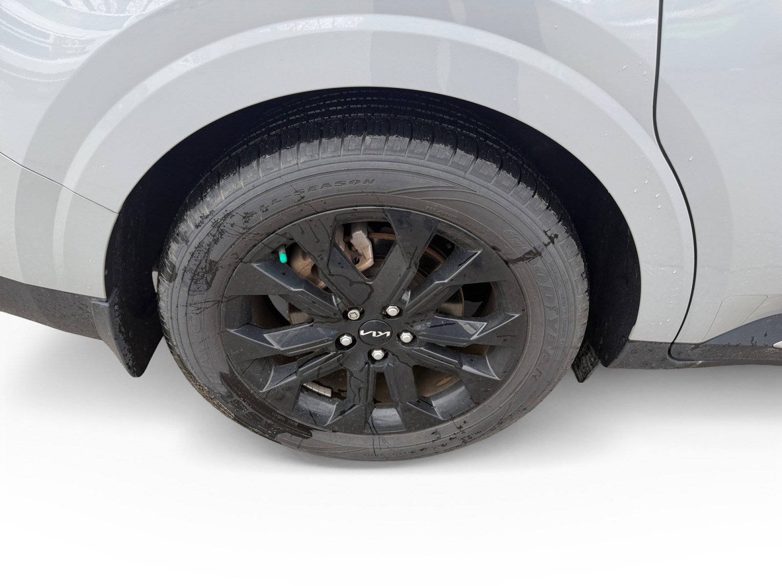 Used 2024 Kia Carnival SX Prestige image 17