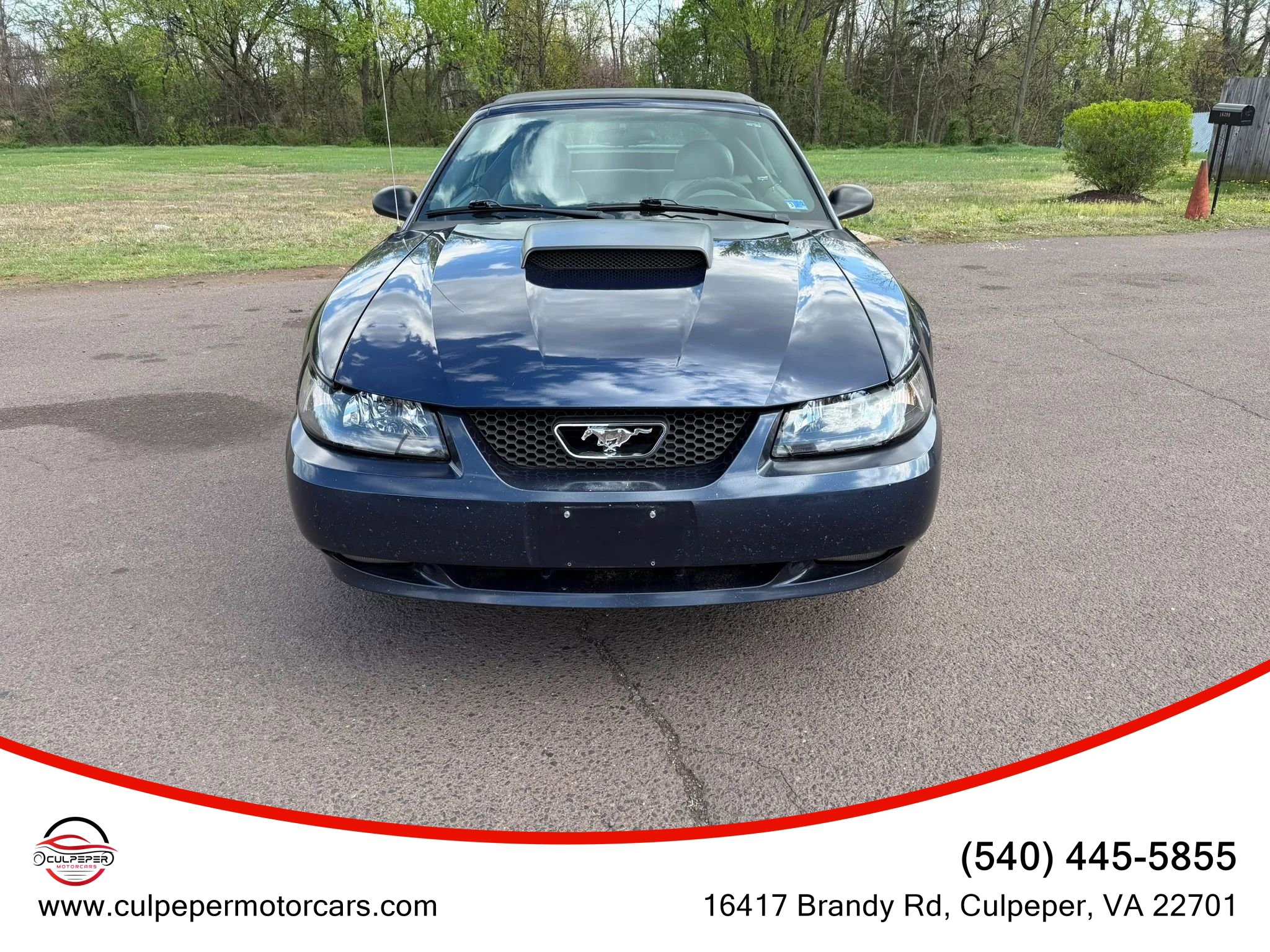Used 2003 Ford Mustang GT
