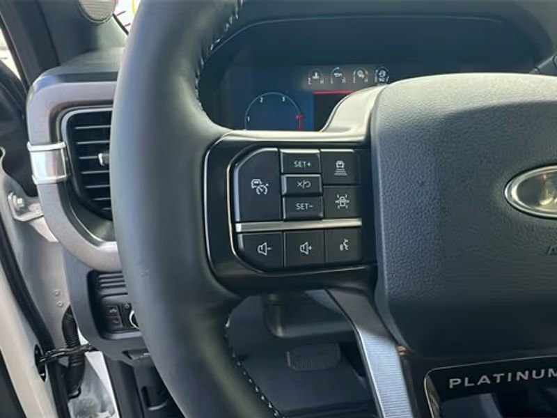 New 2025 Ford F250 Platinum image 12