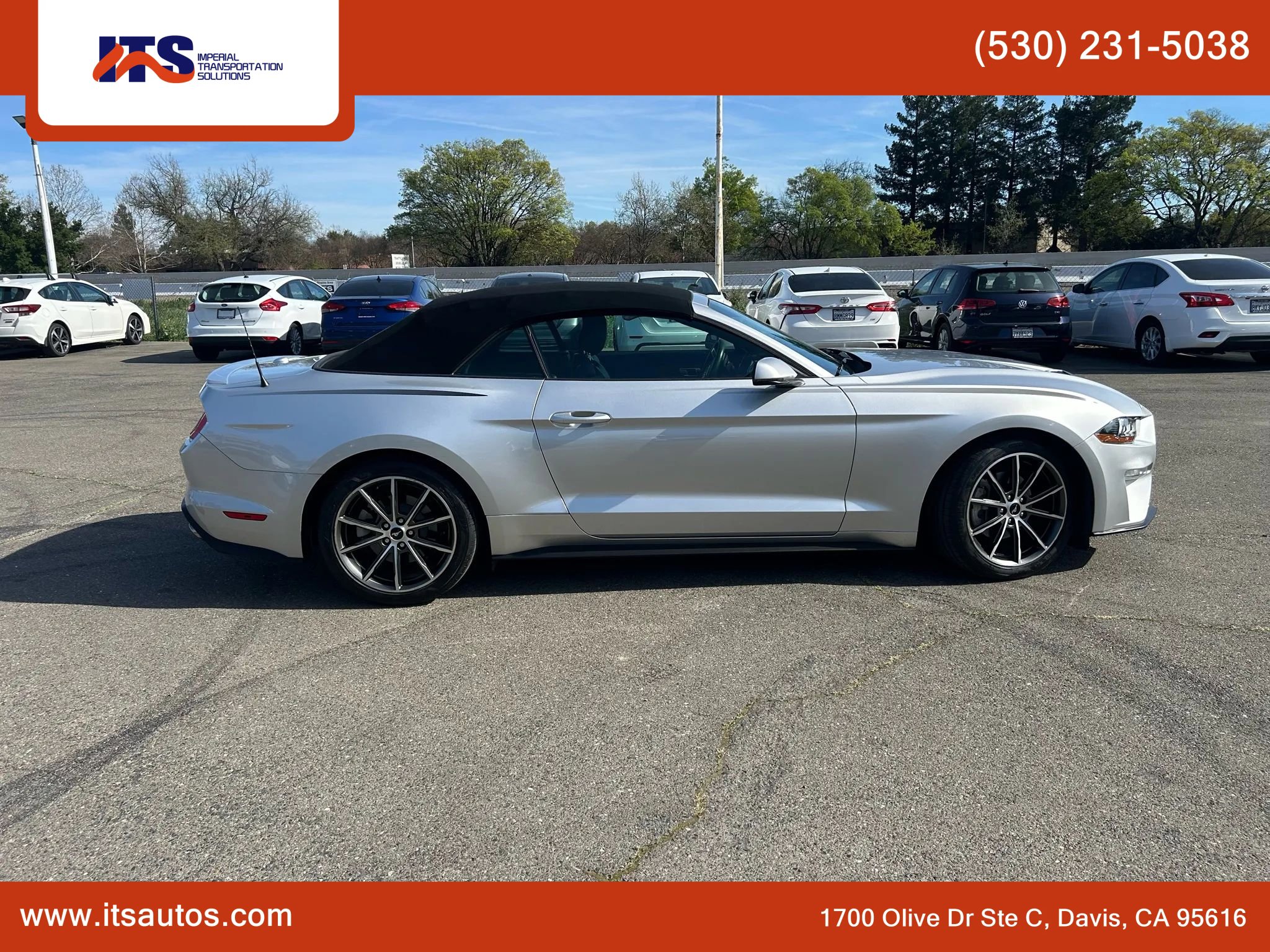 Used 2019 Ford Mustang Premium w/ Equipment Group 201A image 23