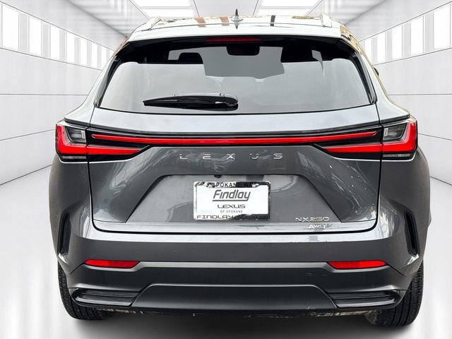 Used 2023 Lexus NX 250 AWD image 6