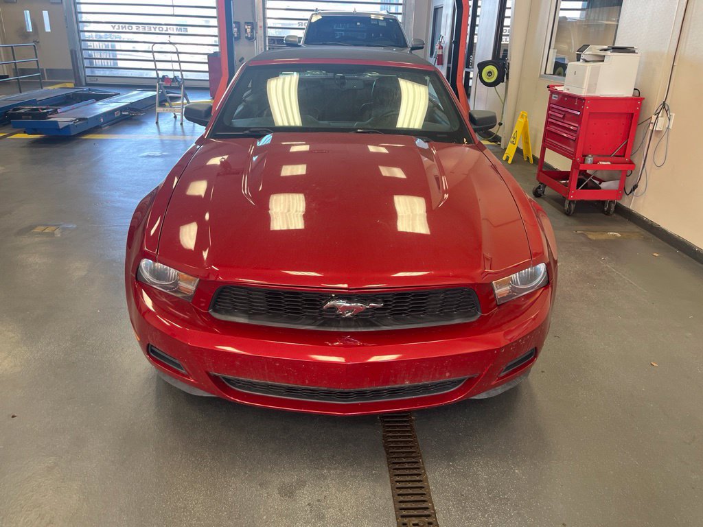 Used 2010 Ford Mustang Premium RWD image 15