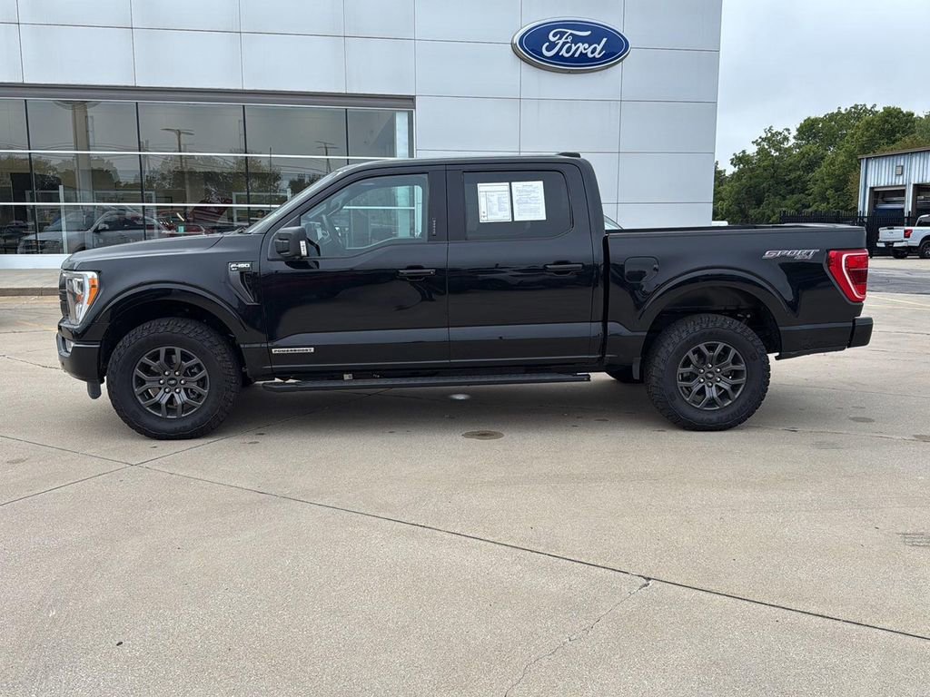 Used 2023 Ford F150 XLT w/ Equipment Group 302A High image 2