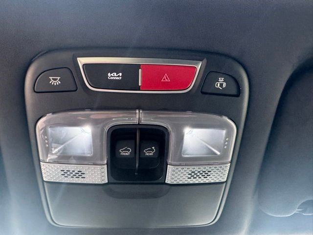 Used 2024 Kia Telluride SX Prestige X-Pro image 20