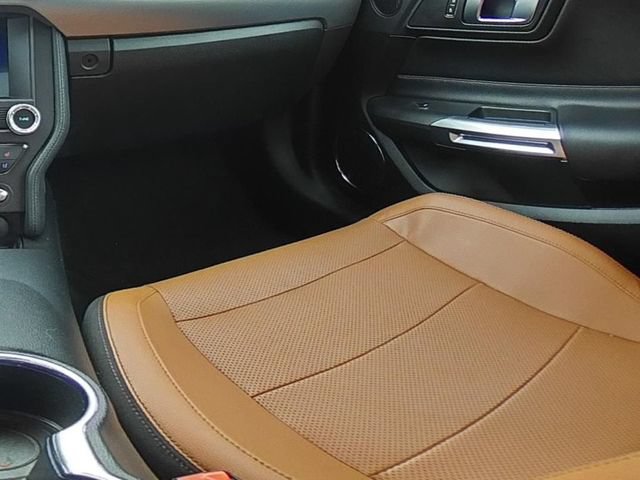 Used 2019 Ford Mustang GT Premium w/ Black Accent Package RWD image 33