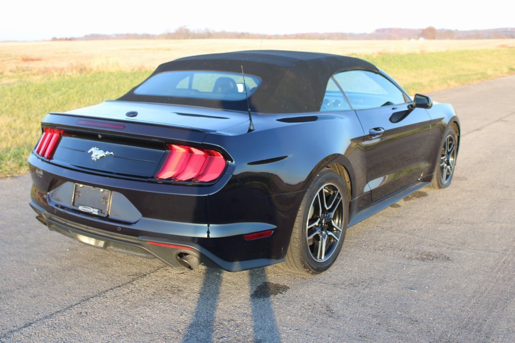 Used 2023 Ford Mustang Premium image 7