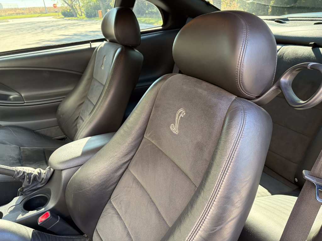 Used 2004 Ford Mustang Cobra RWD image 12