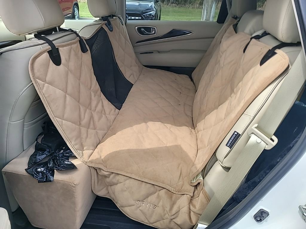 Used 2020 INFINITI QX60 Luxe w/ Sensory Package image 5