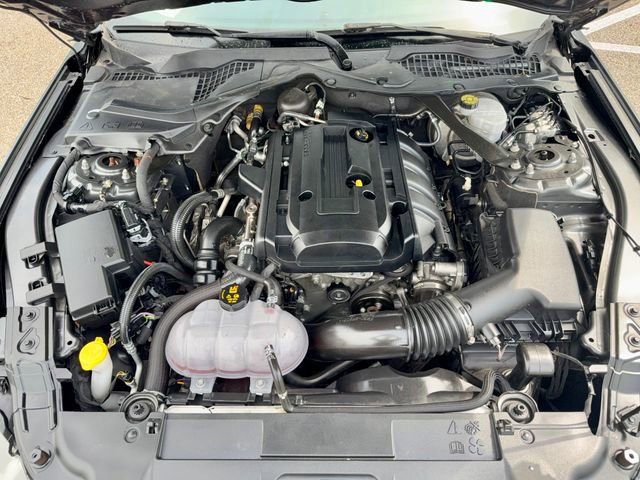 Used 2019 Ford Mustang Premium RWD image 31