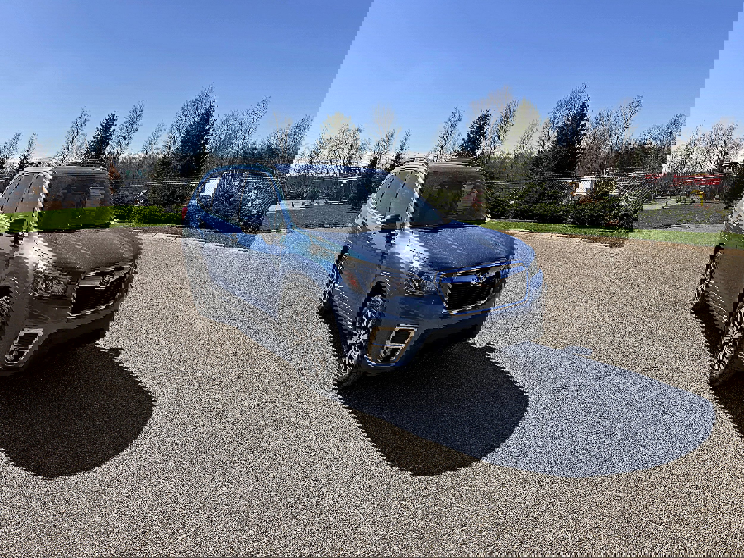 Used 2020 Subaru Forester Limited image 3