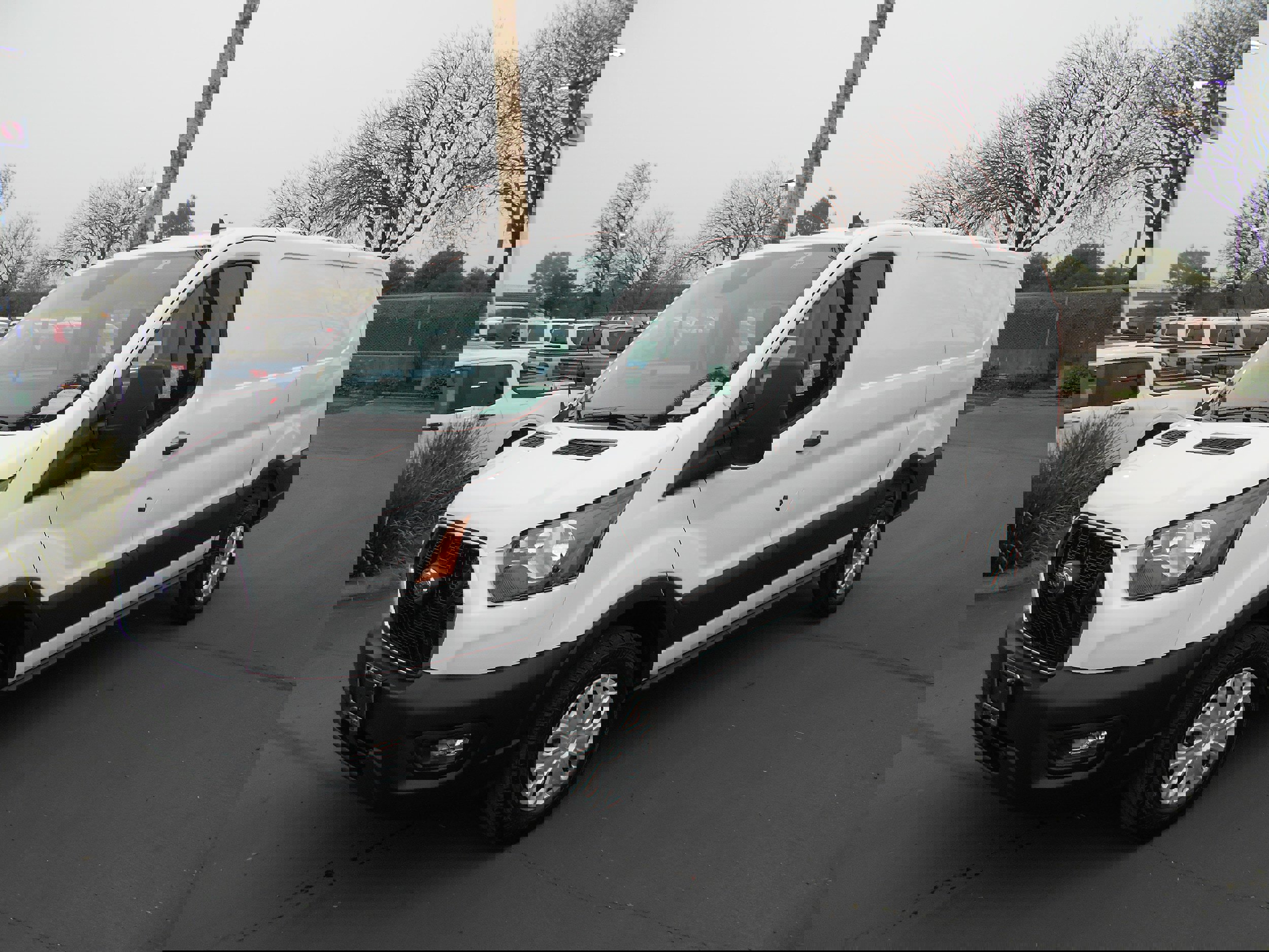 Used 2025 Ford Transit 250 Low Roof w/ Exterior Upgrade Package image 1
