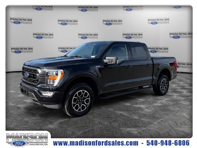 Used 2023 Ford F150 XLT w/ Equipment Group 302A High AWD/4WD image 1