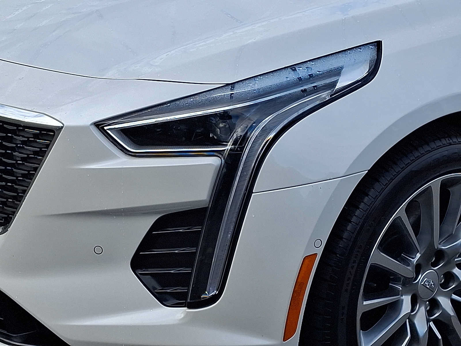 Used 2019 Cadillac CT6 Premium Luxury AWD/4WD image 9