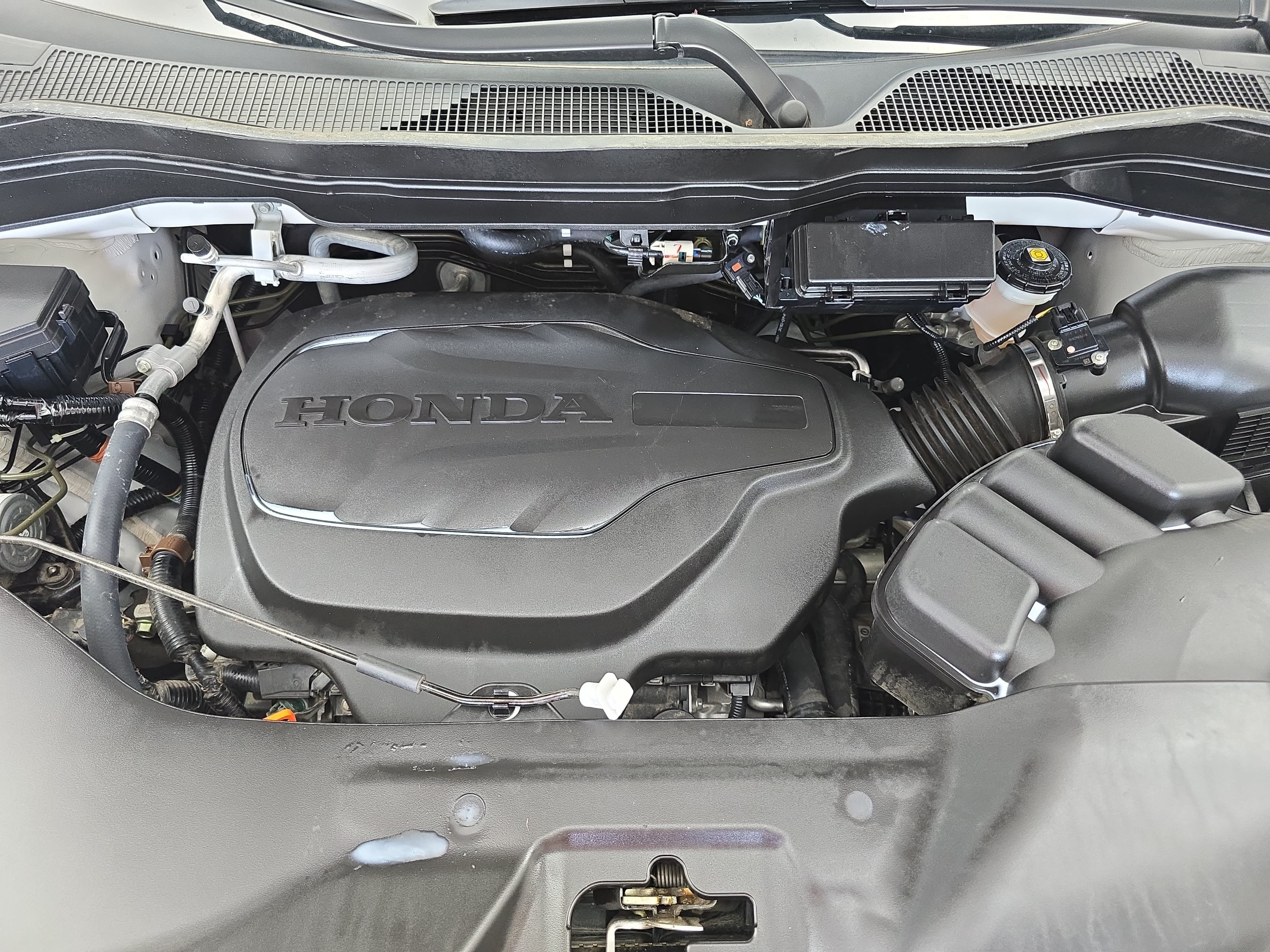 Used 2024 Honda Passport TrailSport image 31