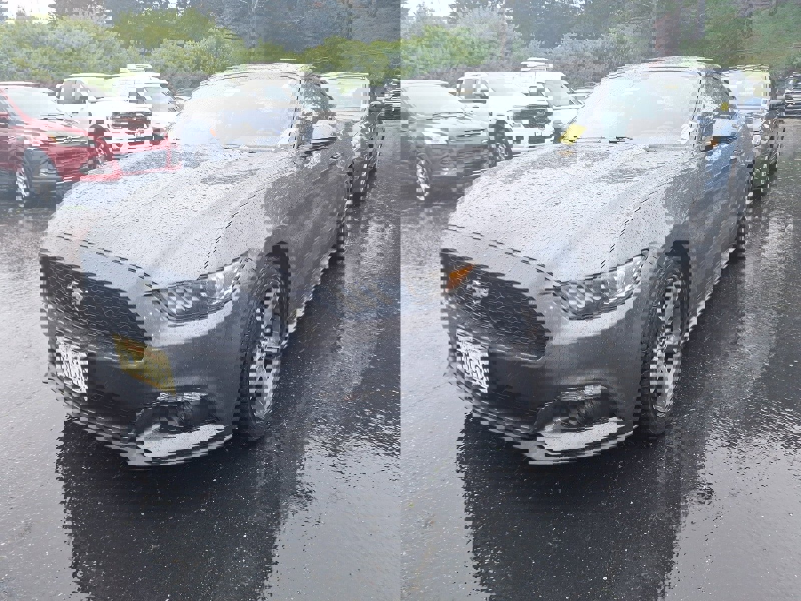 Used 2015 Ford Mustang Coupe w/ Equipment Group 051A image 2