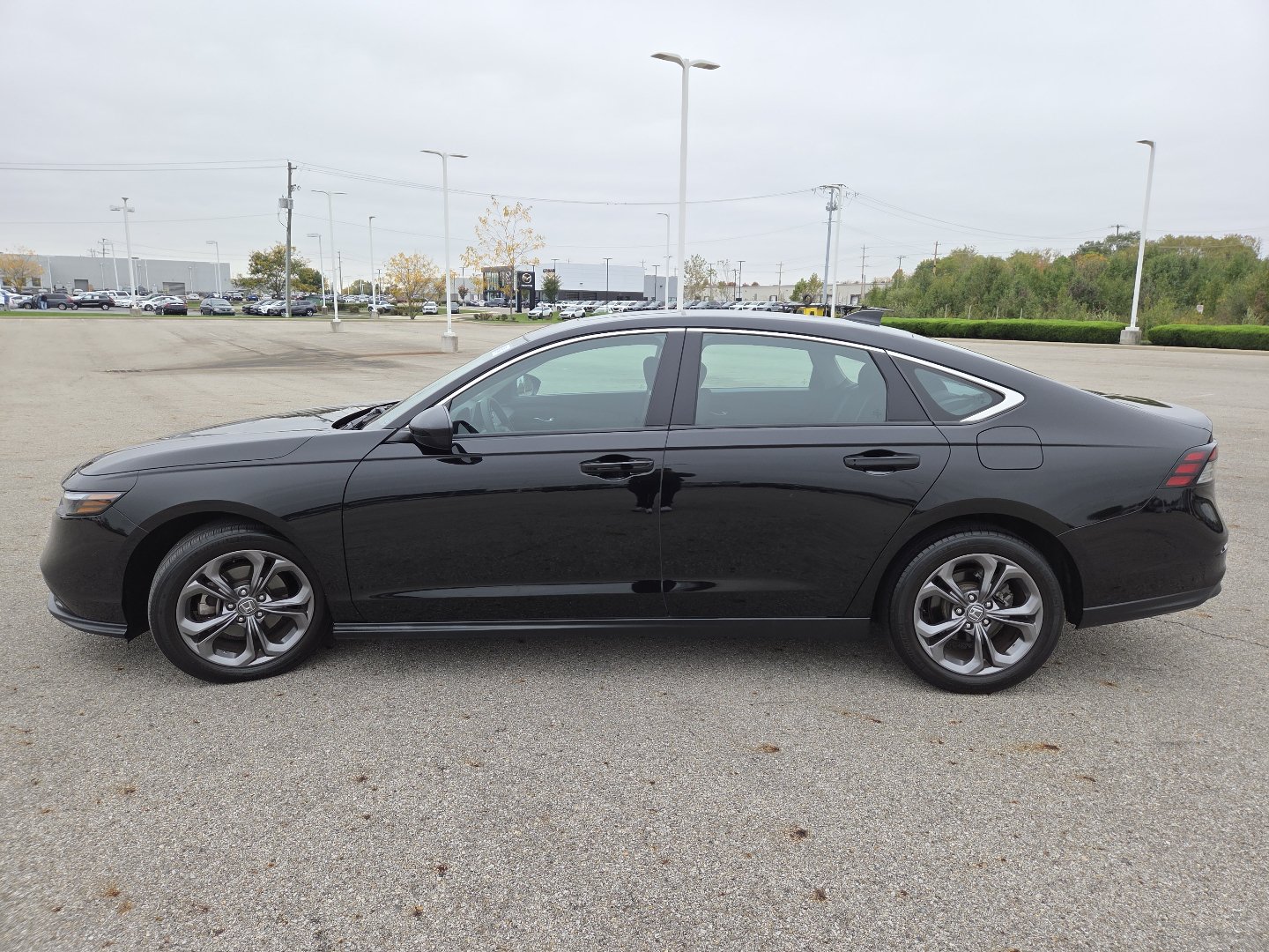 Used 2024 Honda Accord EX image 14