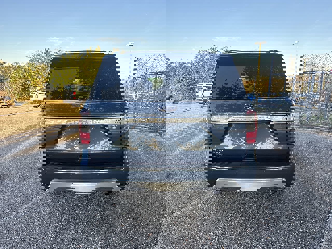 Certified 2020 Ford Expedition Max Platinum image 4