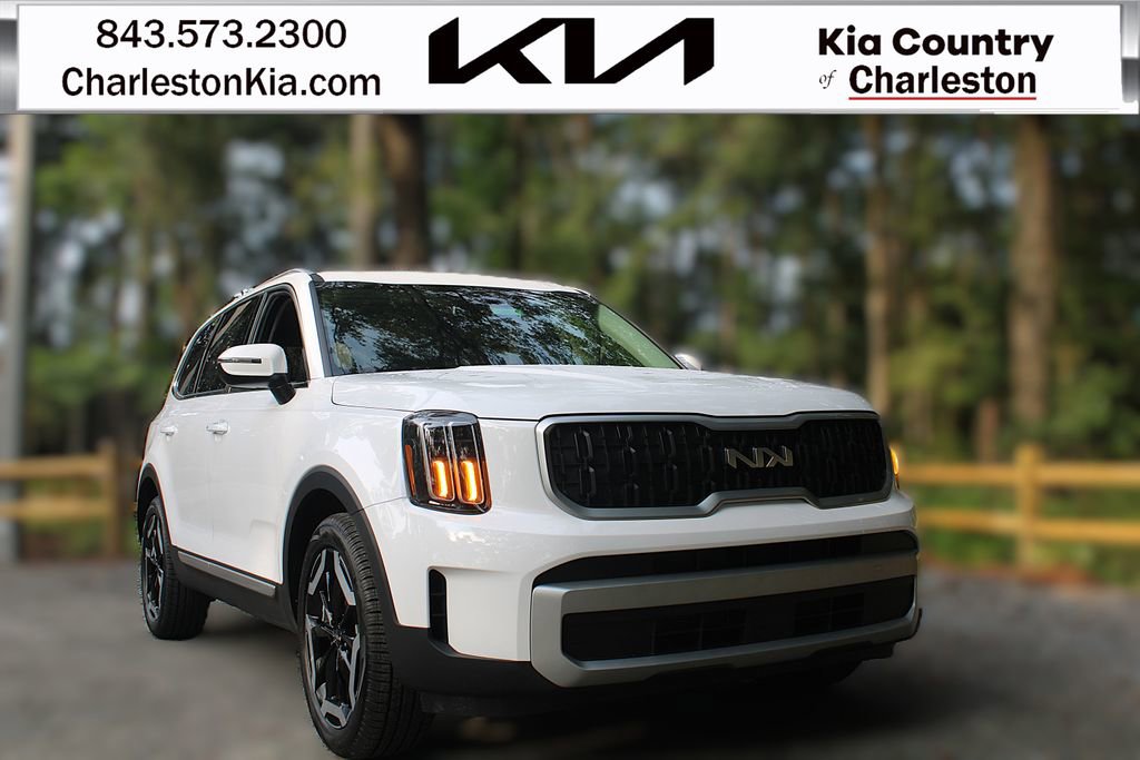 New 2025 Kia Telluride EX image 1