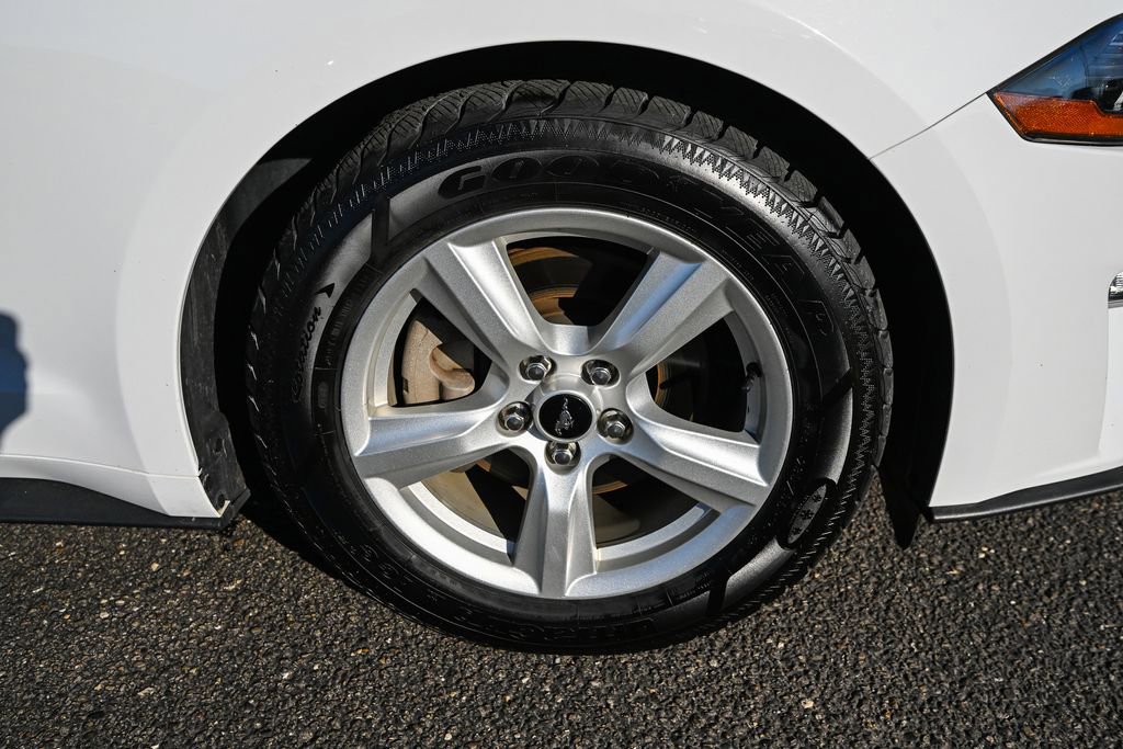 Used 2019 Ford Mustang Coupe image 15