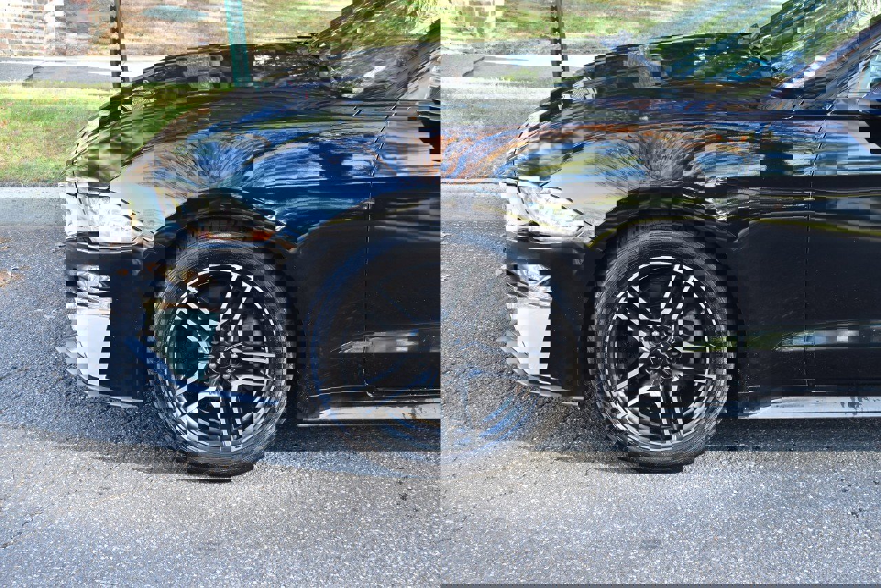 Used 2019 Ford Mustang Premium image 44