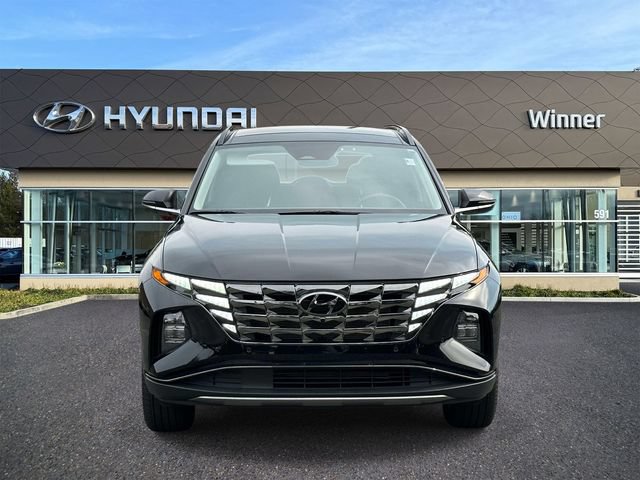 Certified 2024 Hyundai Tucson Limited AWD/4WD image 6