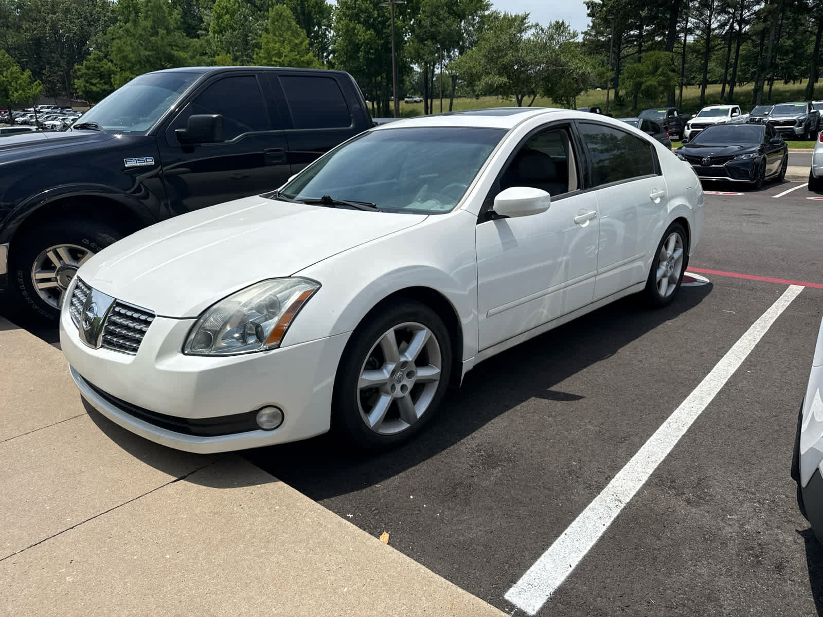 Used 2005 Nissan Maxima 3.5 SE w/ (S03) Driver Preferred Pkg FWD image 5