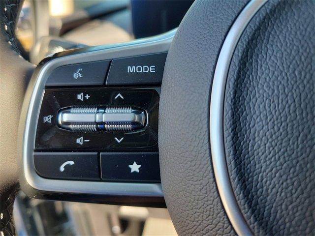 New 2026 Kia Carnival SX Prestige image 21