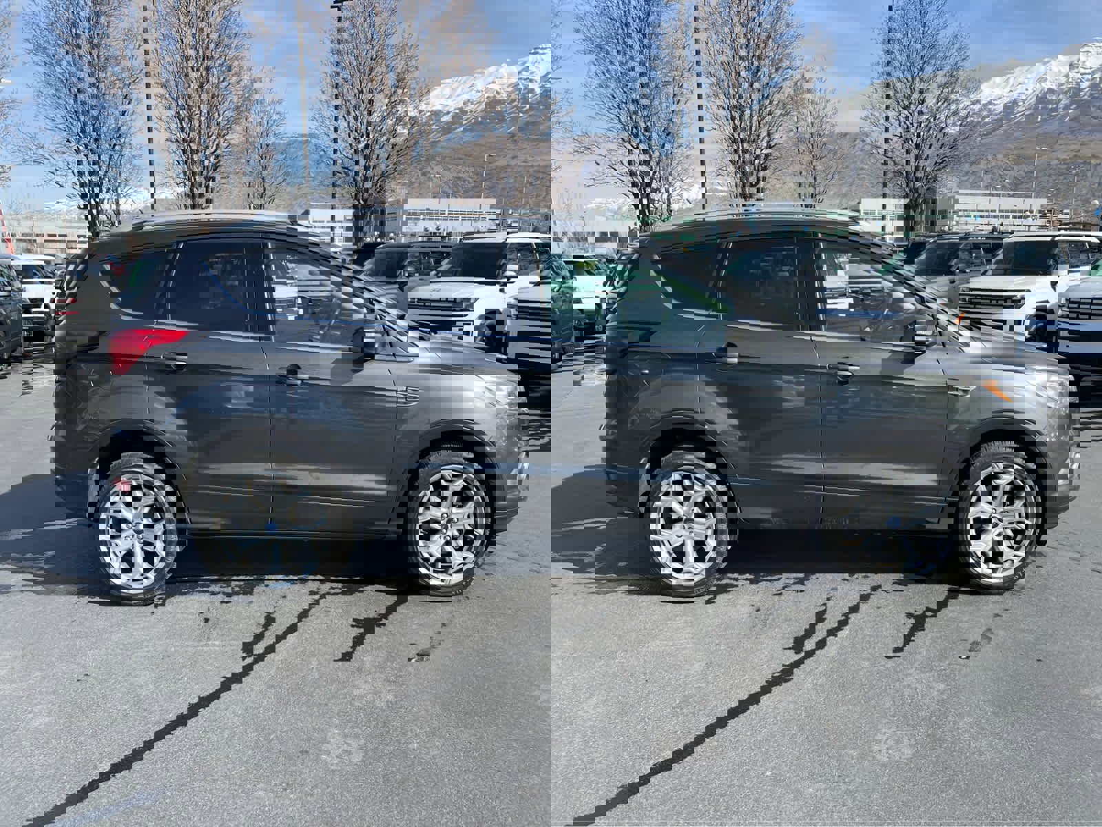 Used 2019 Ford Escape Titanium image 6